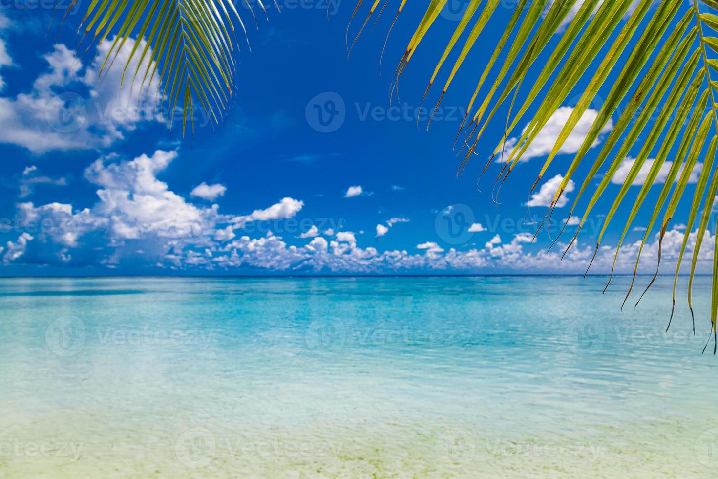 Sunny tropical beach with palm trees and turquoise water, exotic island vacation, hot summer day. Luxury summer vacation, travel concept photo