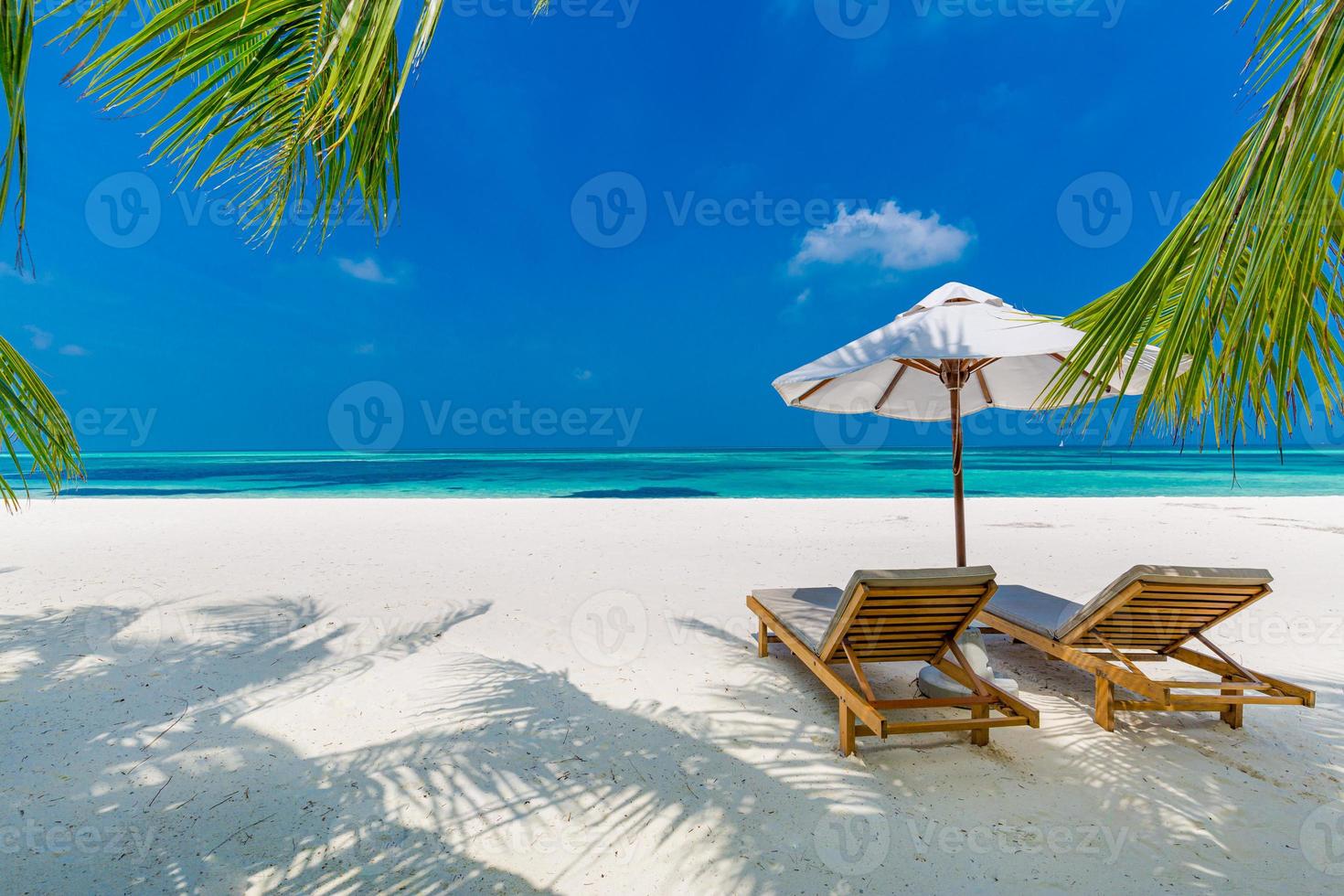 Tropical beach background as summer landscape with lounge chairs and palm trees and calm sea for beach banner photo