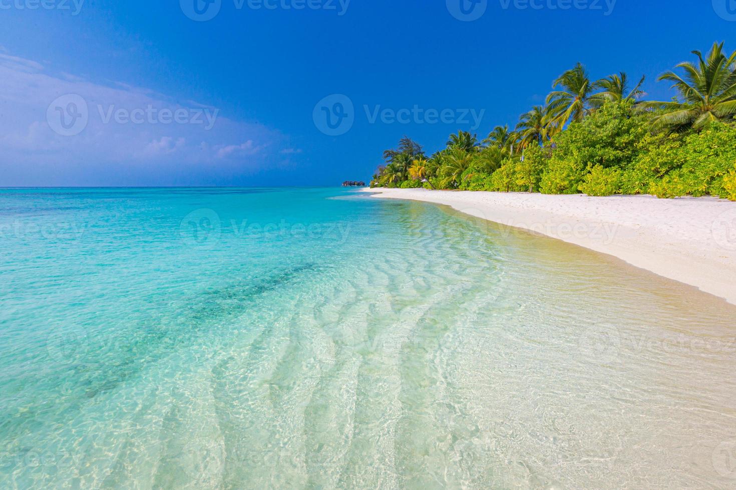 Sunny exotic tropical beach landscape background wallpaper. Design summer vacation holiday concept. Luxury travel destination, idyllic nature scenic palm tree leaves, amazing natural environment photo