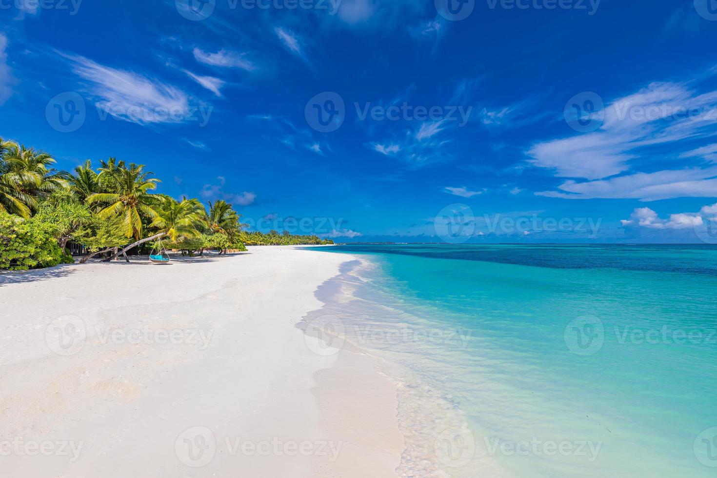 Beach nature concept. Palm beach in tropical idyllic paradise island. Exotic landscape for dreamy and inspirational summer scenery use for background or wallpaper photo