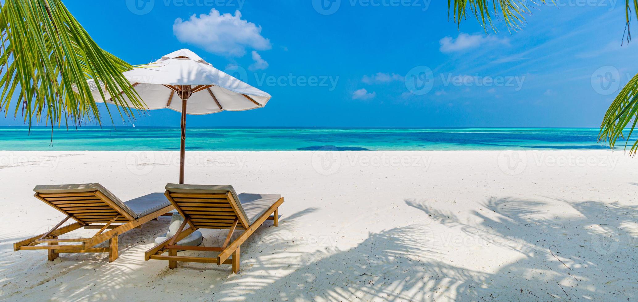 Tropical beach background as summer landscape with lounge chairs and palm trees and calm sea for beach banner photo