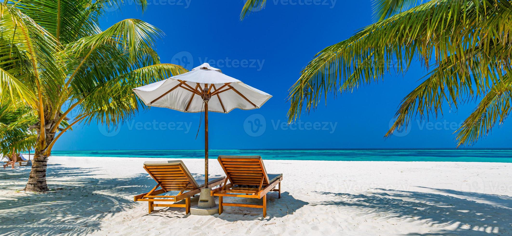 Beautiful tropical beach banner. White sand and coco palms travel tourism wide panorama background concept. Amazing beach landscape. Boost up color process. Luxury island resort vacation or holiday photo