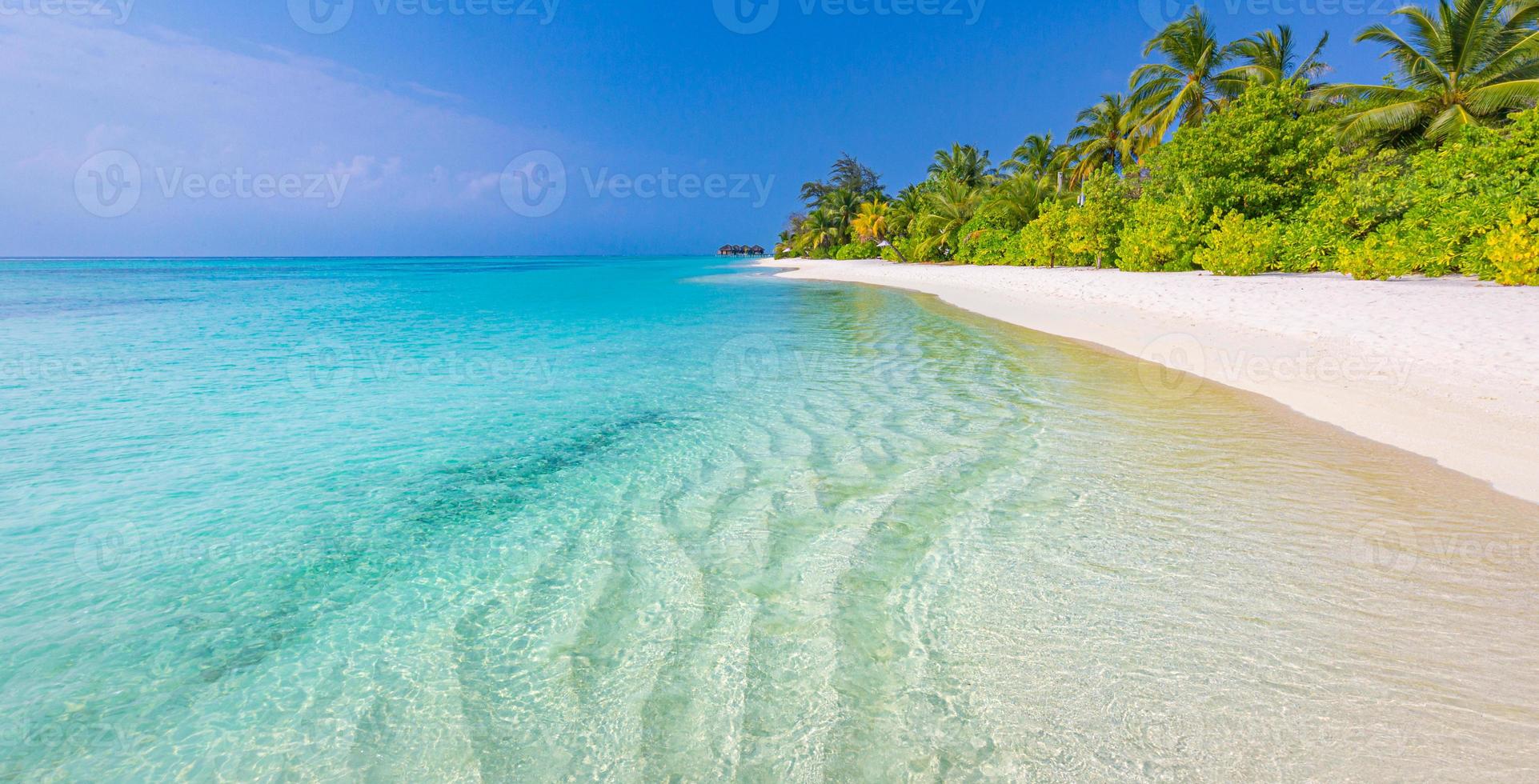 Sunny exotic tropical beach landscape background wallpaper. Design summer vacation holiday concept. Luxury travel destination, idyllic nature scenic palm tree leaves, amazing natural environment photo