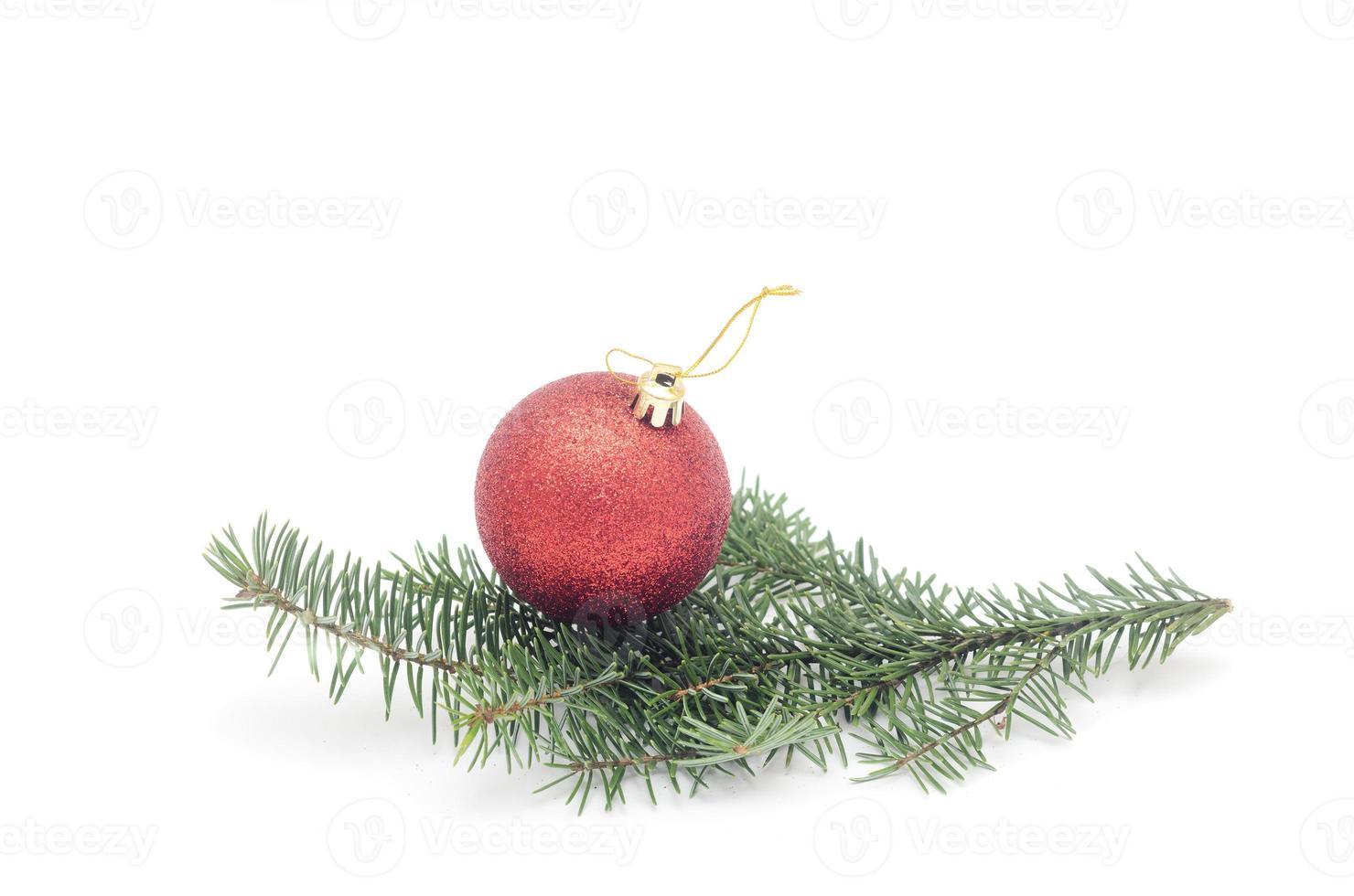 una bola roja en la rama de un árbol de Navidad aislado sobre fondo blanco. foto