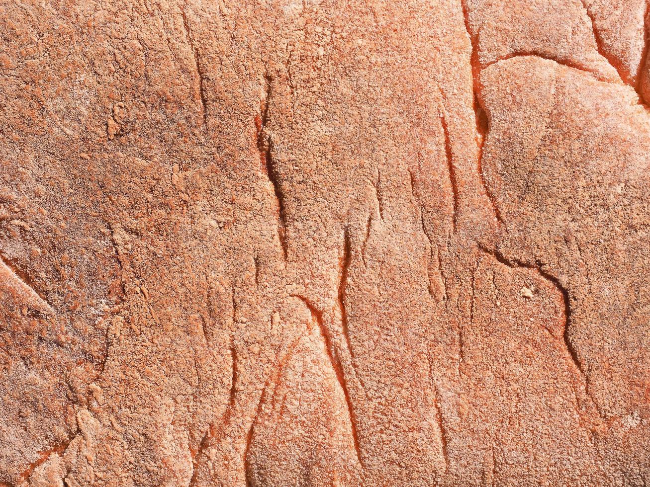 Bread food texture photo