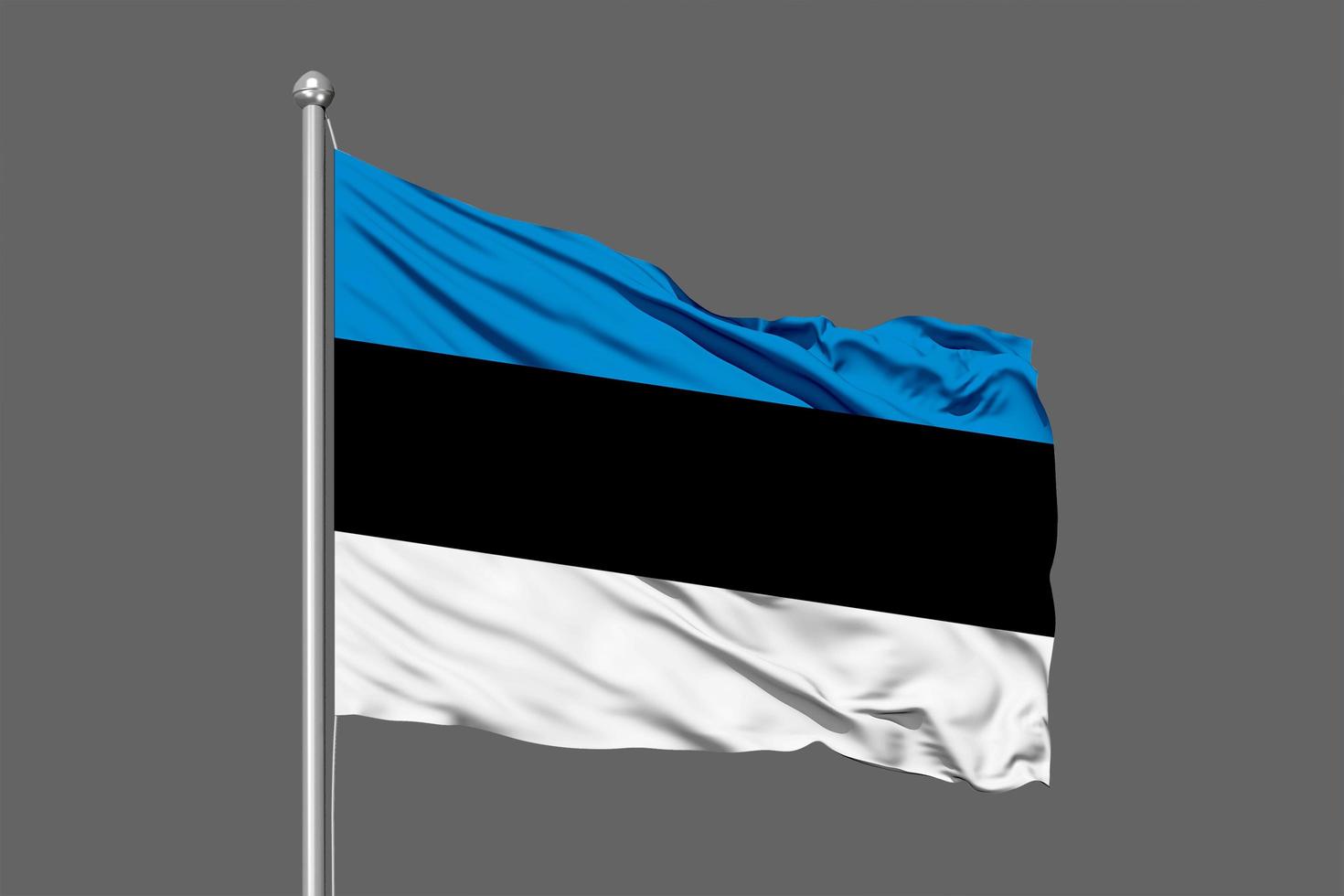 Estonia Waving Flag photo
