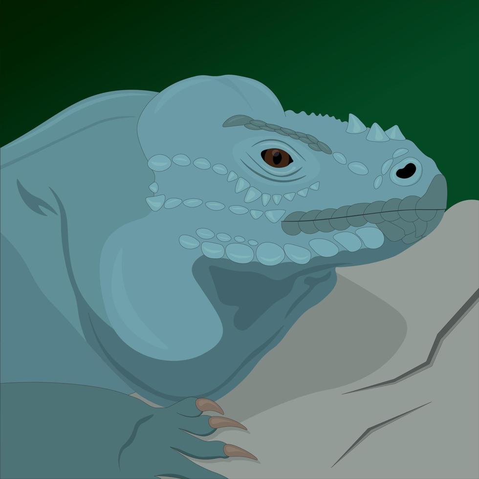 rinoceronte, iguana, lagarto, vector, ilustración vector