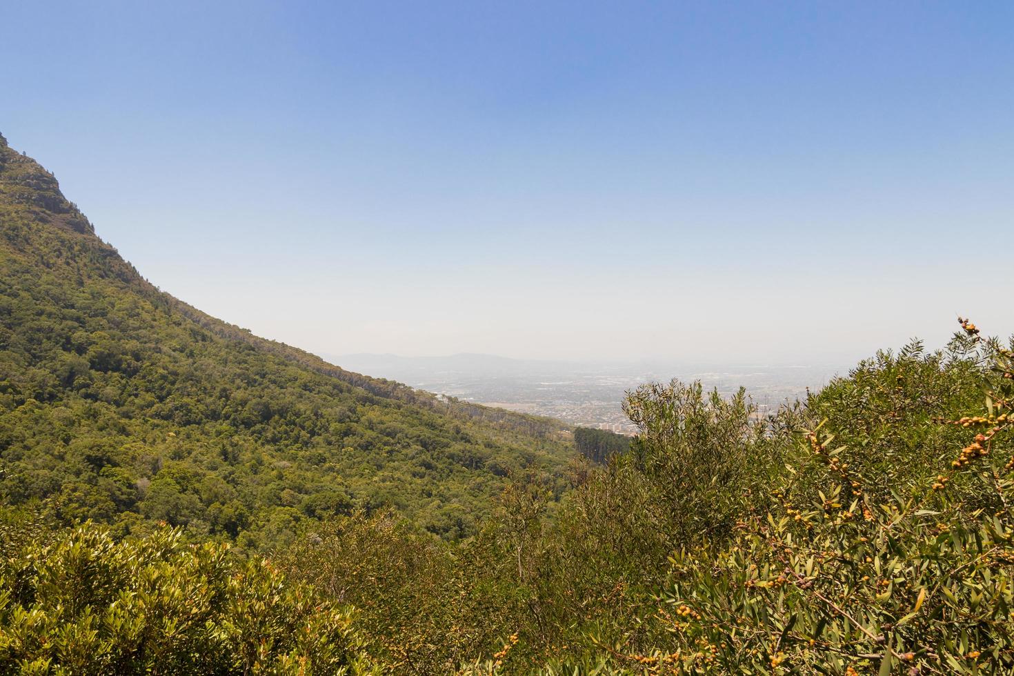 parque nacional de la montaña de la mesa ciudad del cabo, sudáfrica. foto