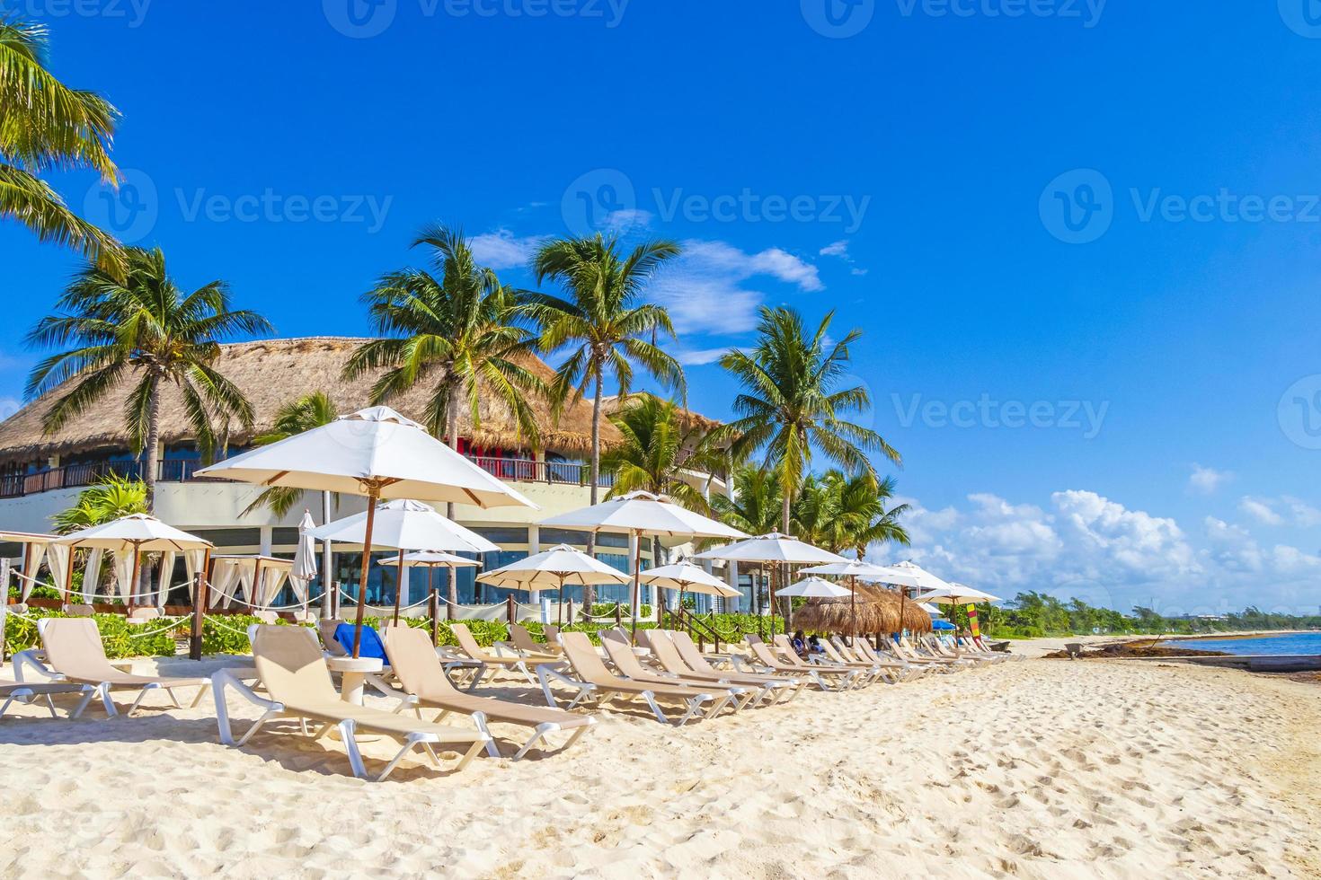 Palms parasols sun loungers beach resort Playa del Carmen Mexico. photo