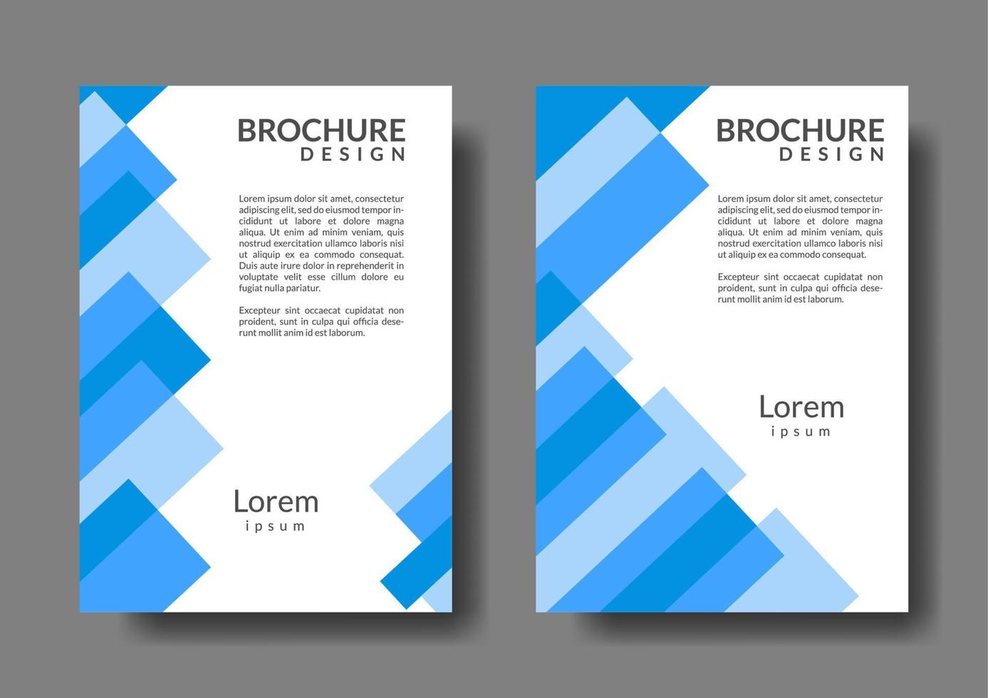 rectangular shape business brochure template. for promotion and advertisement vector