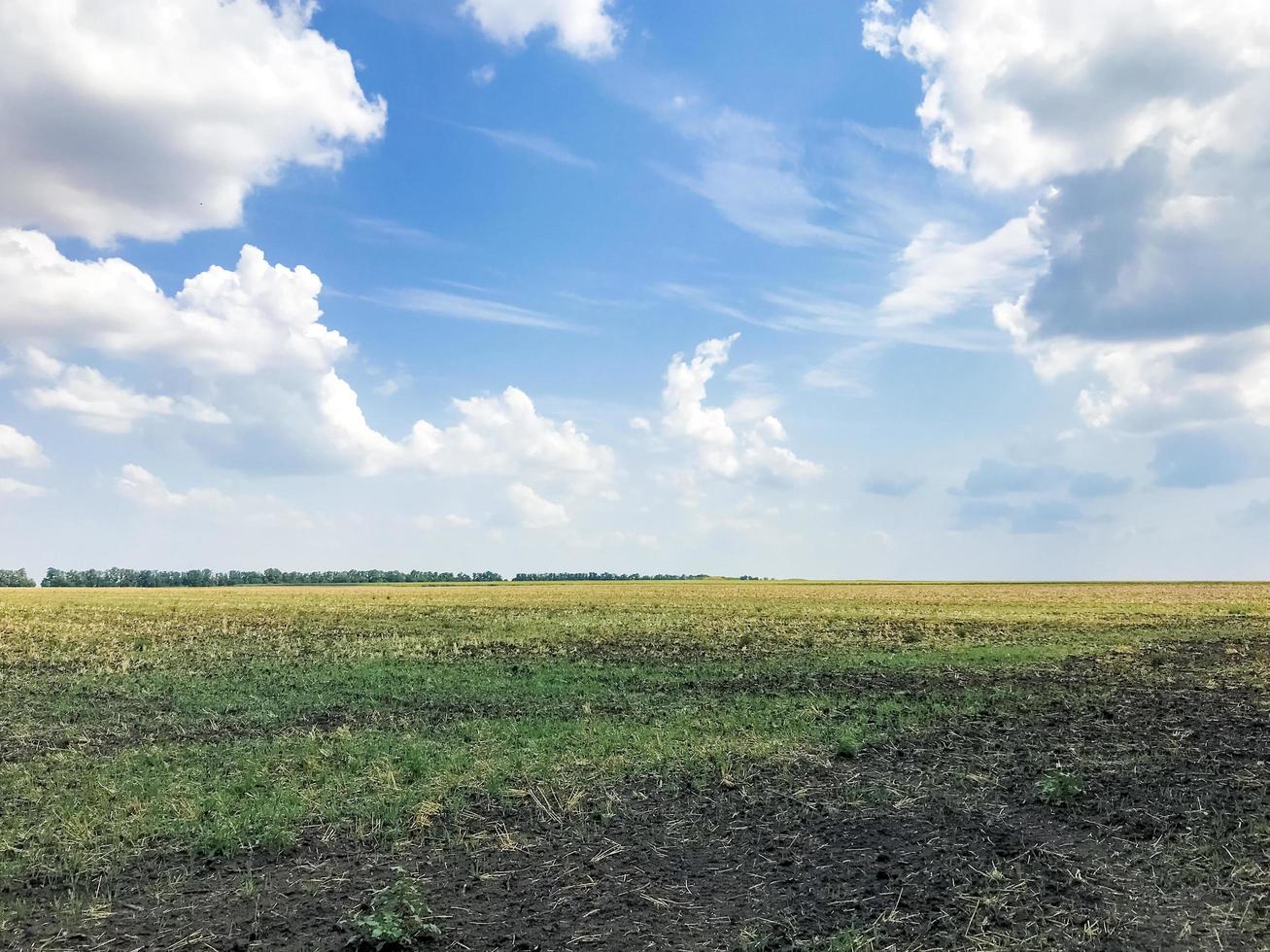 hermosa vista del horizonte en el campo ruso foto