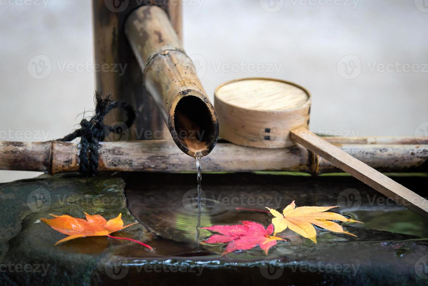 Japanese zen garden for relaxation balance and harmony spirituality or wellness in Kyoto,Japan photo