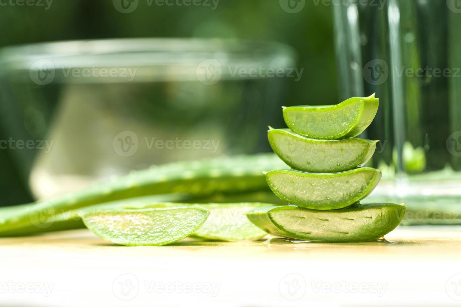 fresh aloe vera 4886872 Stock Photo at Vecteezy