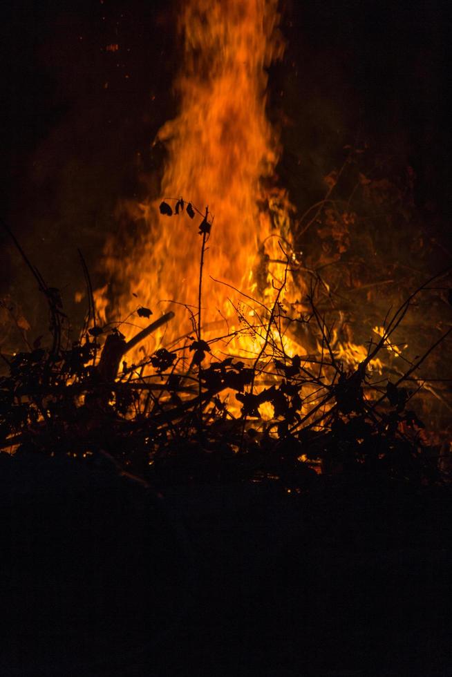 fuego en la madera foto