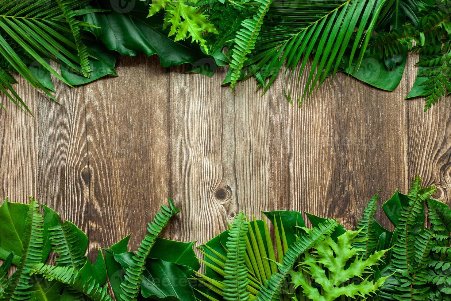 Creative nature layout made of tropical leaves. Summer concept. Fern Palm and monstera leaf on wood table. Nature beach background layout with free text space. photo