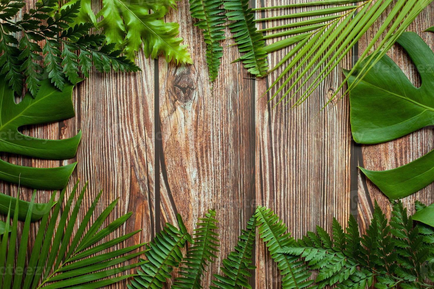 Diseño de naturaleza creativa hecho de hojas tropicales. concepto de verano. palma de helecho y hoja de monstera en la mesa de madera. diseño de fondo de playa de naturaleza con espacio de texto libre. foto