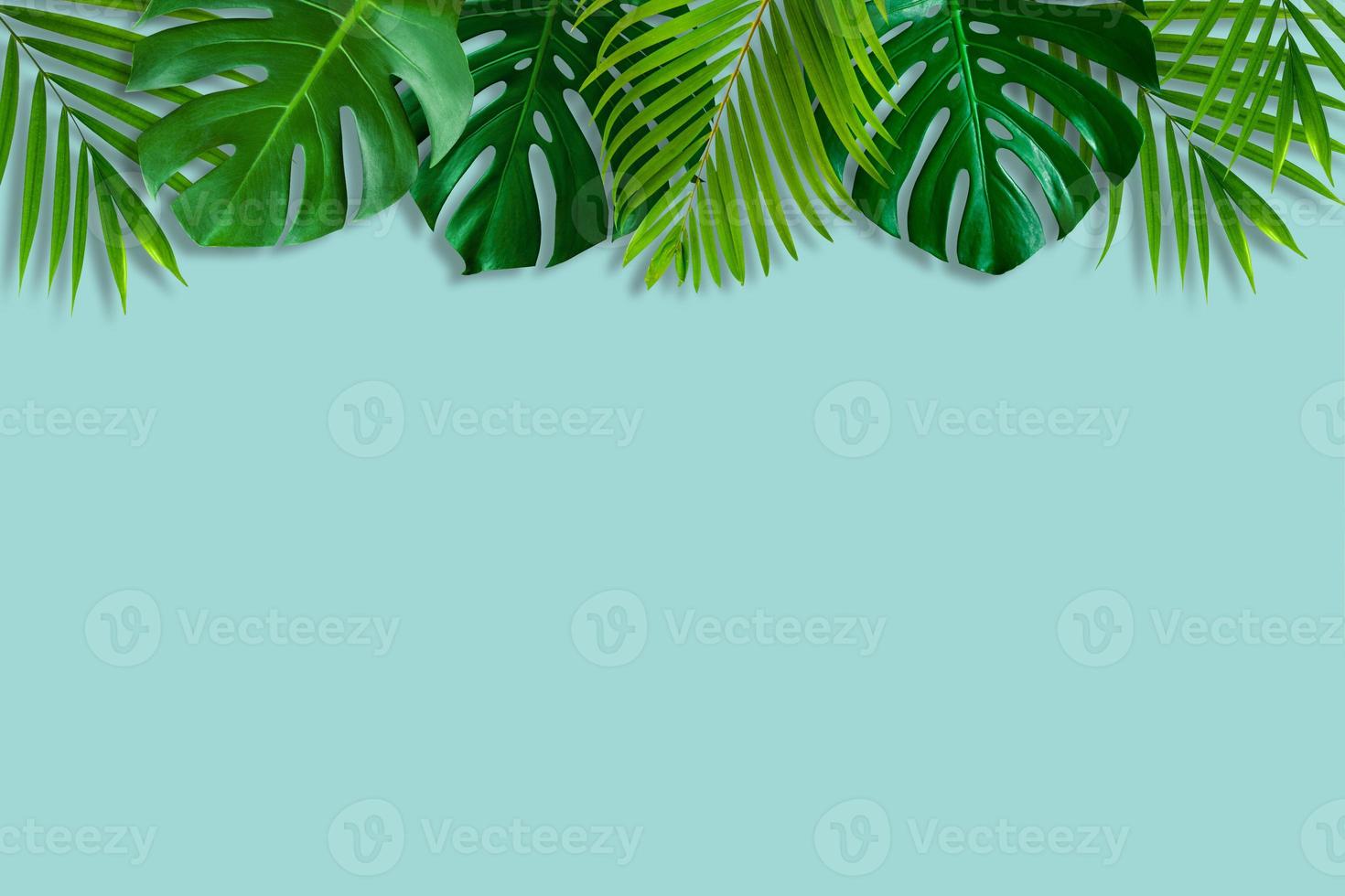 Creative nature layout made of tropical leaves on pastel blue background. photo