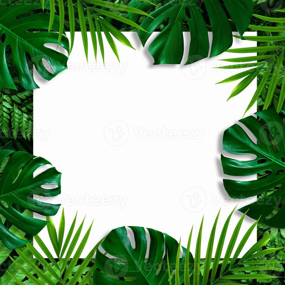 creative layout of tropical leaves Background with white square frame, flat lay photo