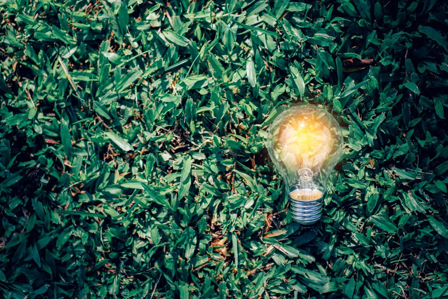 Closeup light bulb on green nature background photo