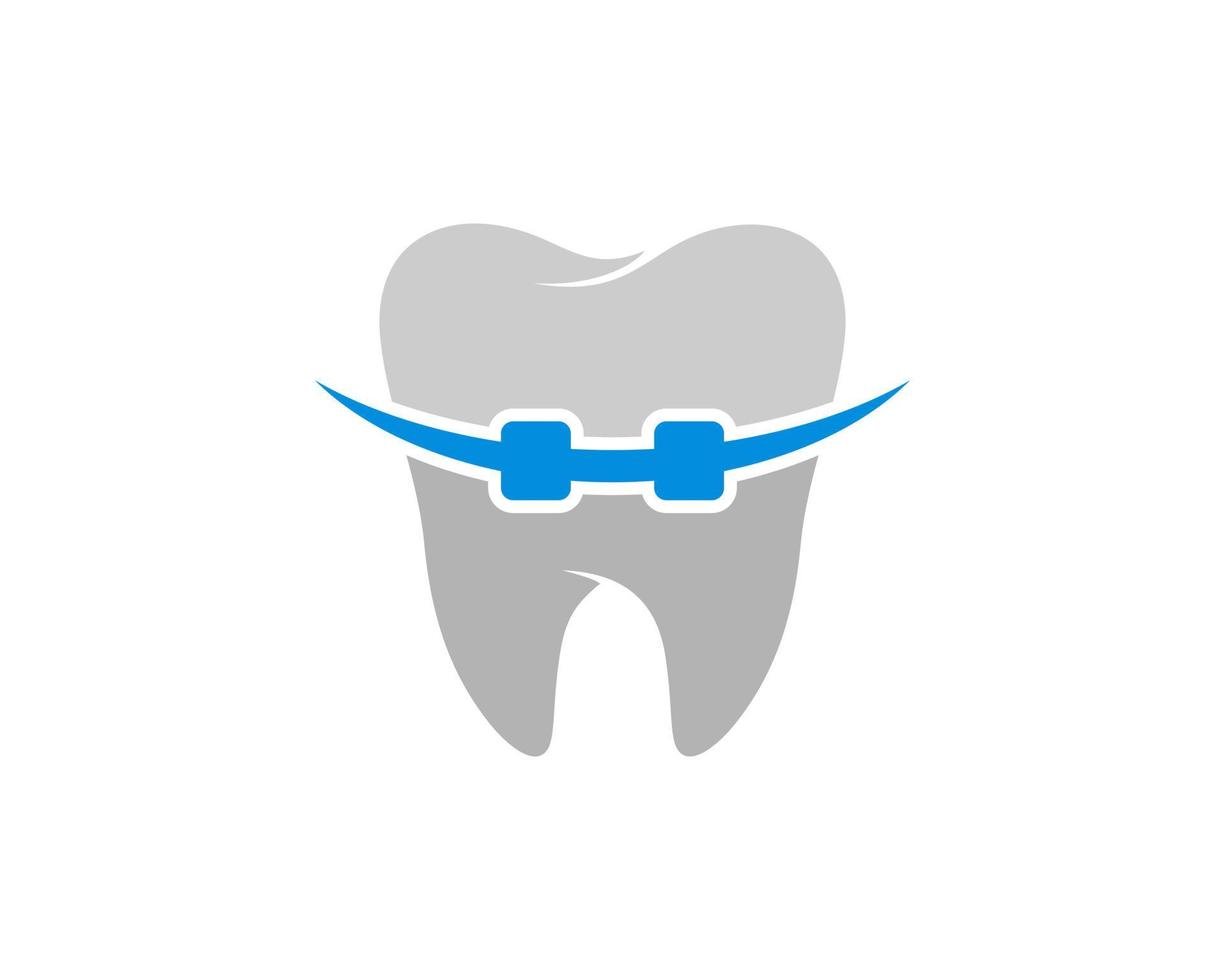healthy tooth with blue braces inside vector