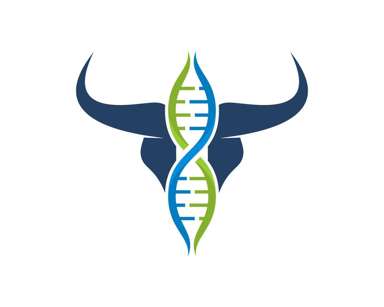 Bull head with DNA symbol inside vector