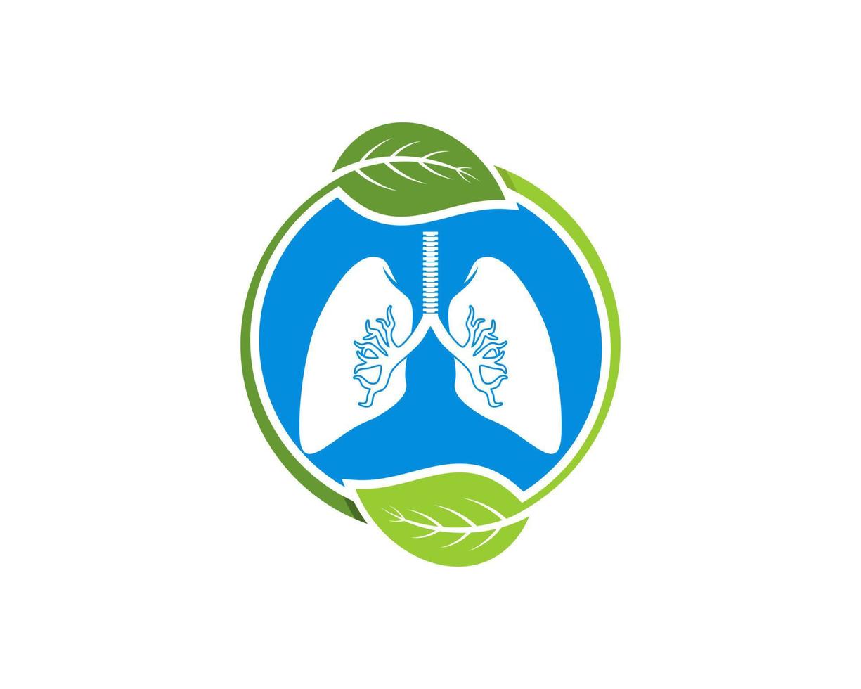Circular nature leaf with healthy lungs inside vector
