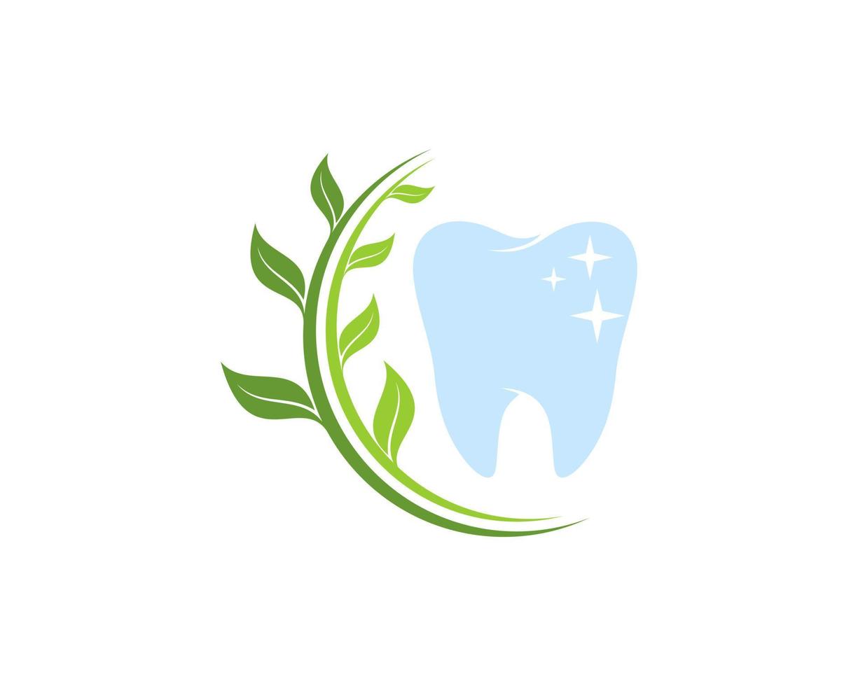Circular nature leaf with healthy and shinning tooth vector