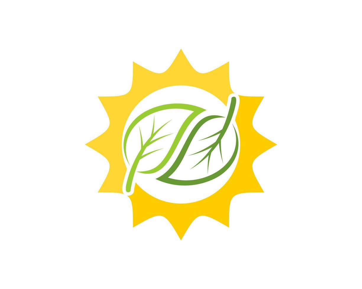 Yellow shinning sun with two leaf inside vector