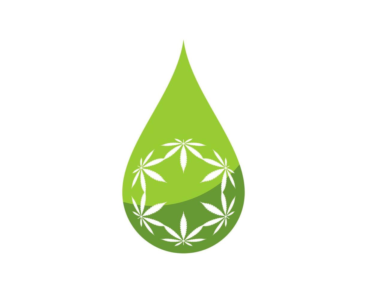 Green water drop with circular cannabis leaf inside vector
