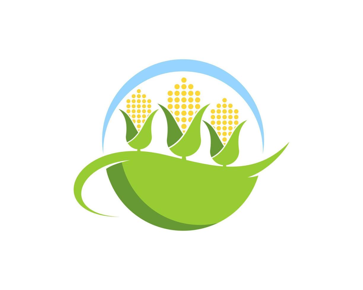 Three abstract corn in the green field vector