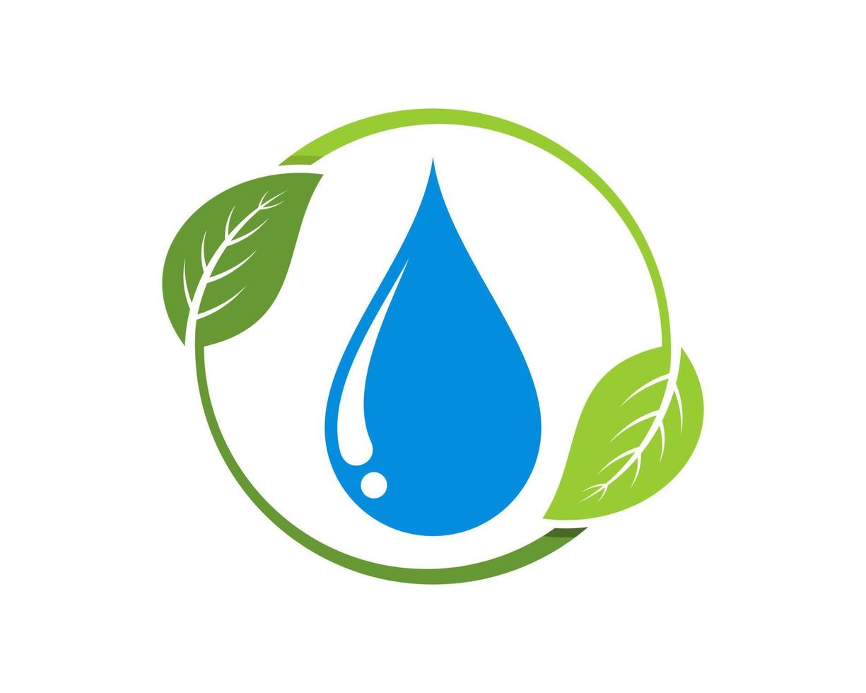 Circular nature leaf with water drop inside vector