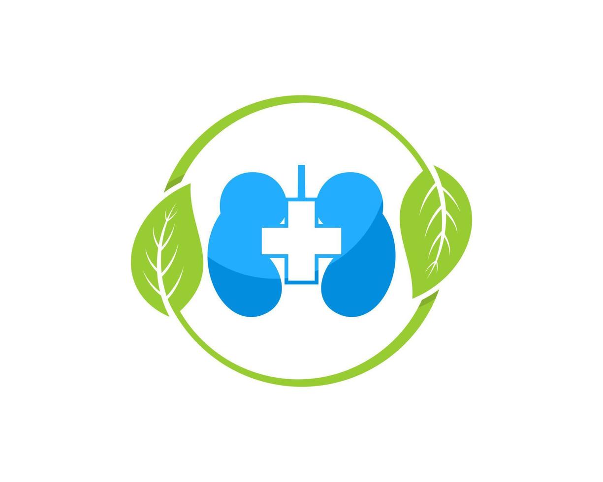 Circular nature leaf with healthy lungs inside vector