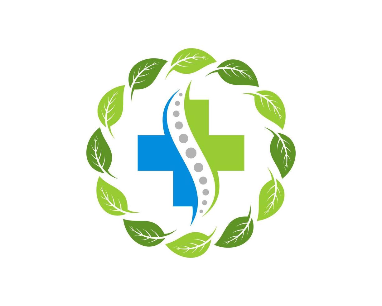 Circular nature leaf with medical cross and chiropractic inside vector