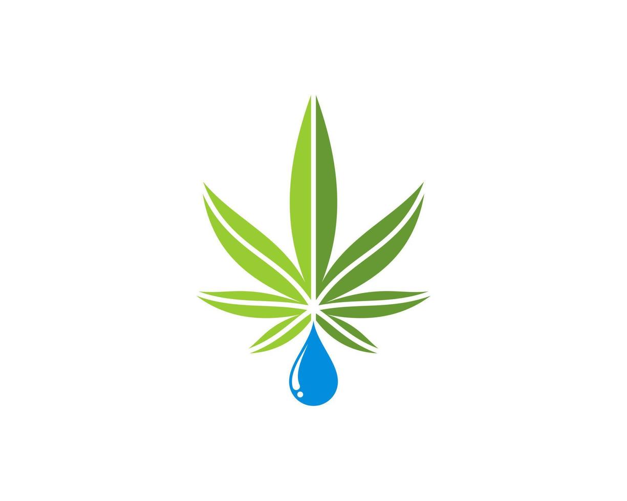 Green cannabis leaf with water drop above vector