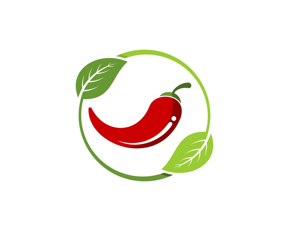 Circular nature leaf with red chili inside vector