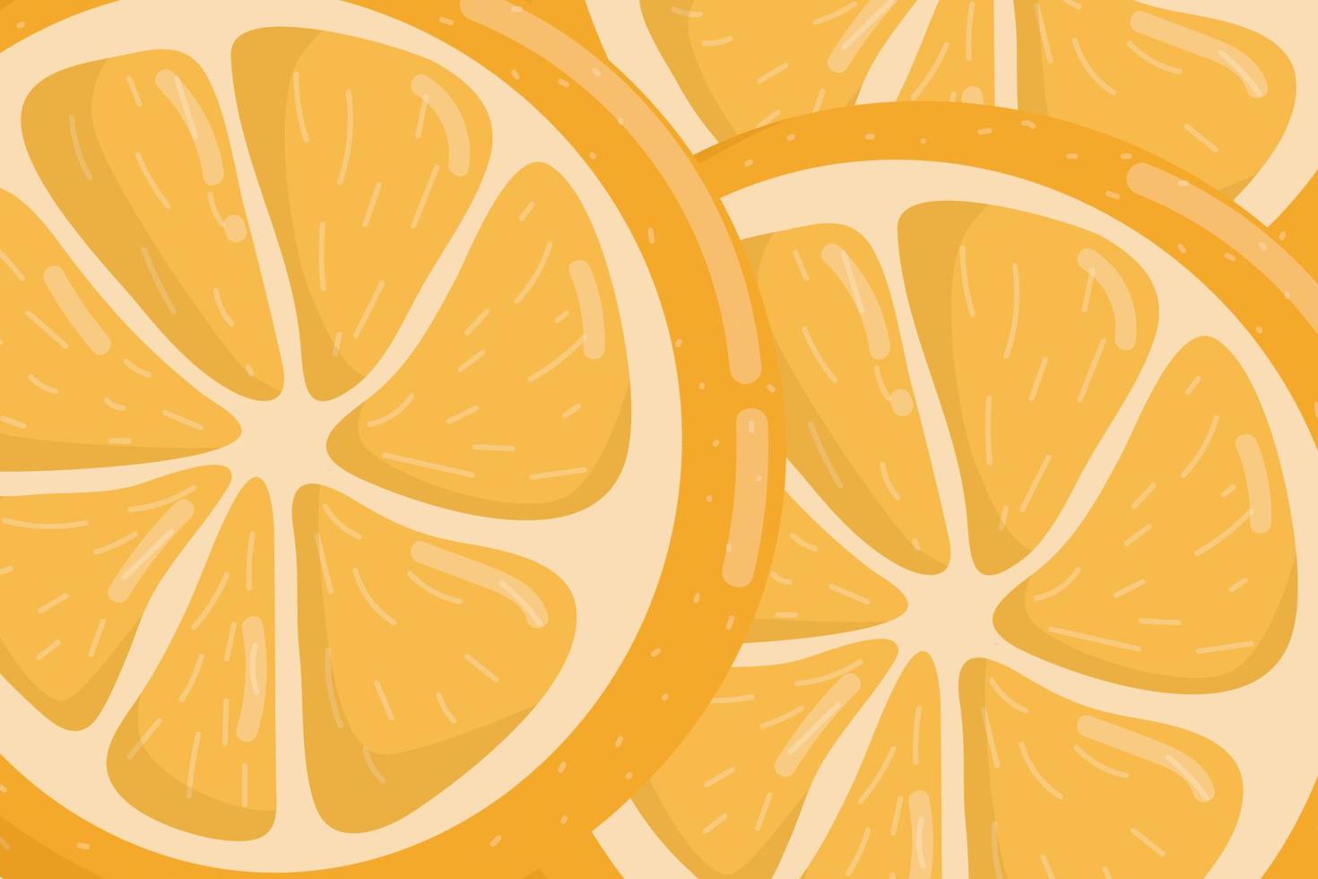 Orange fruit backround vector