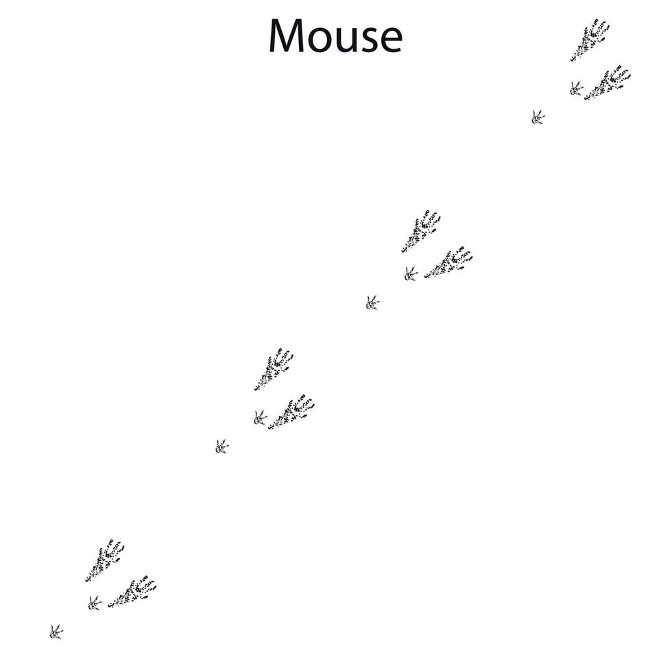 mouse steps, footprint, trail. squirrel tracks. Typical footprints vector