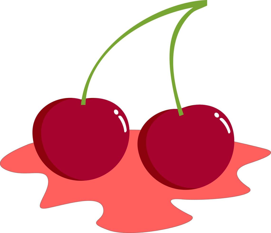 Fresh cherry fruit vector