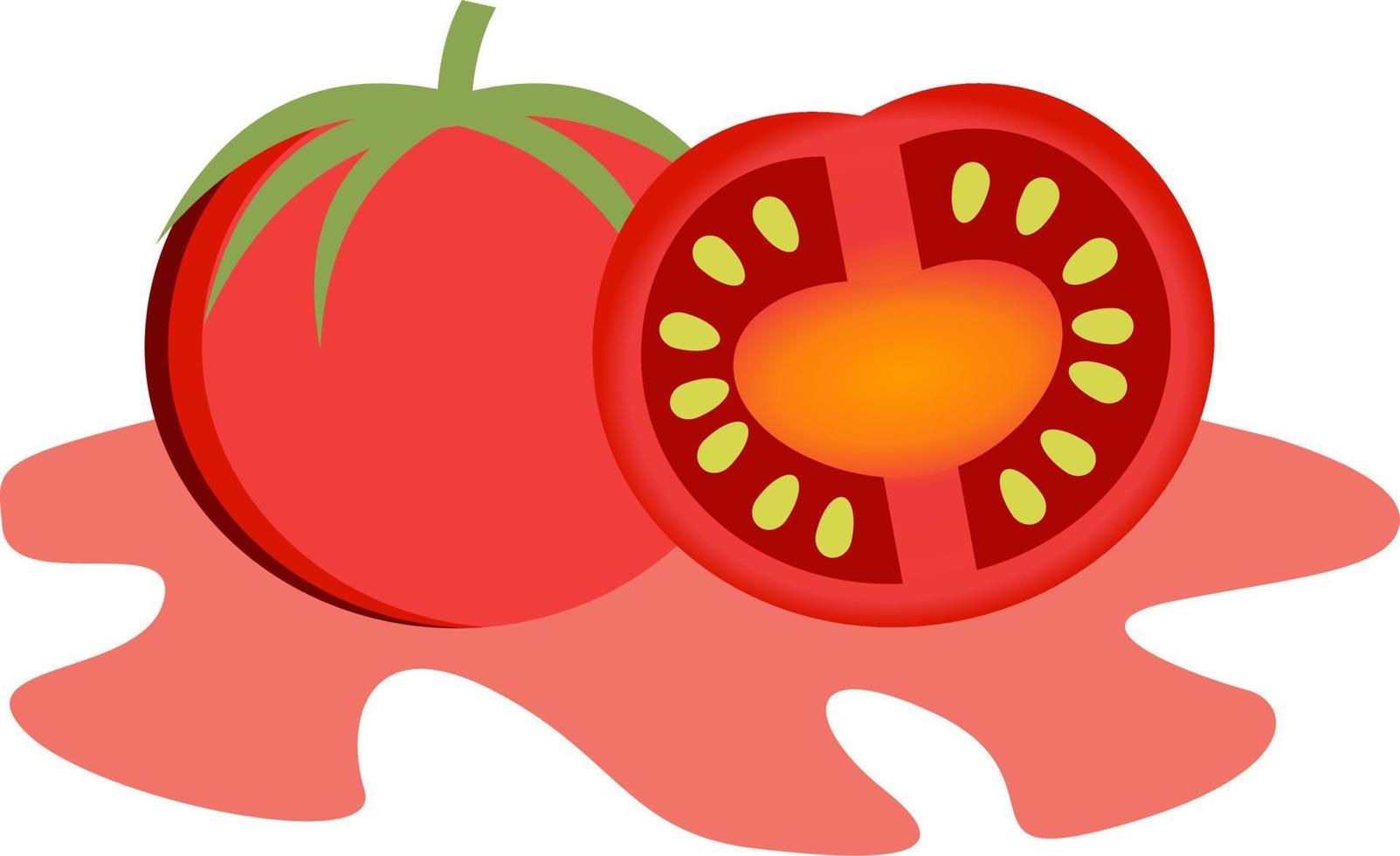 Fresh tomato fruit vector