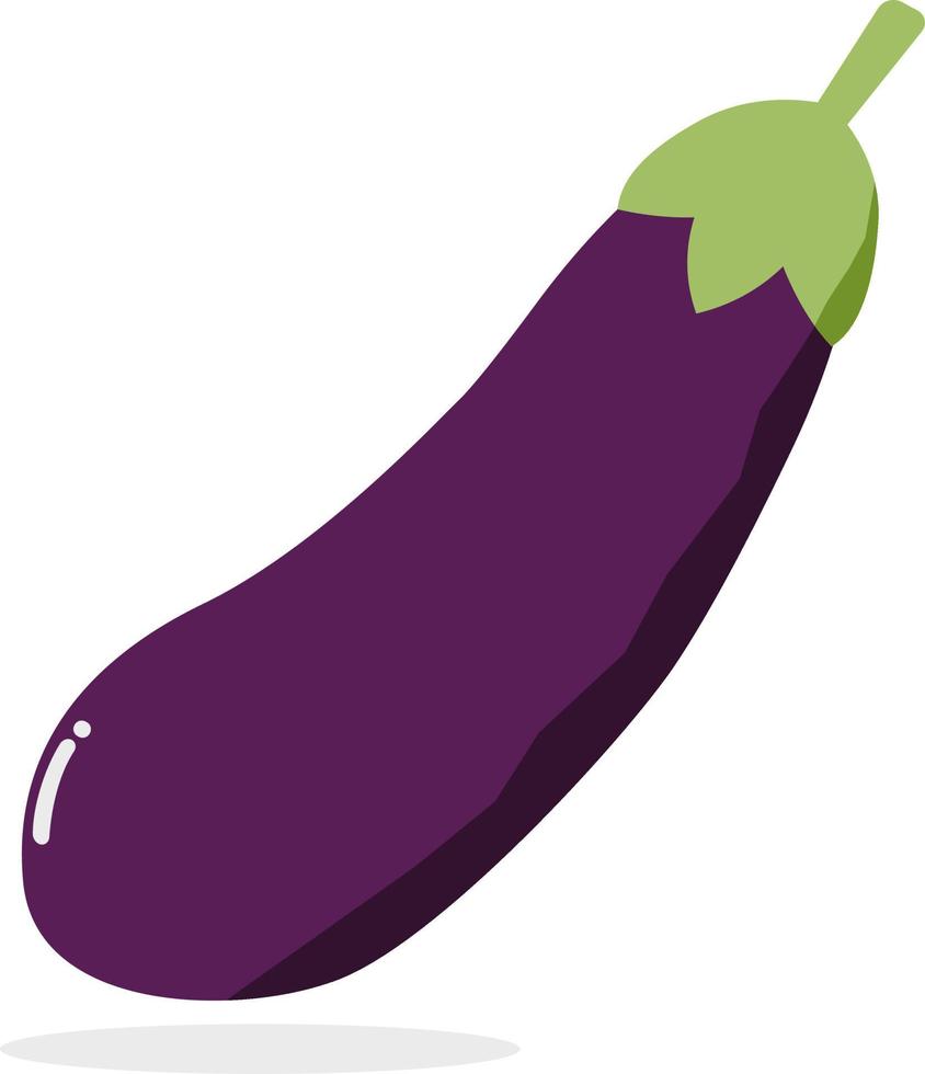Eggplant vegetable white background vector
