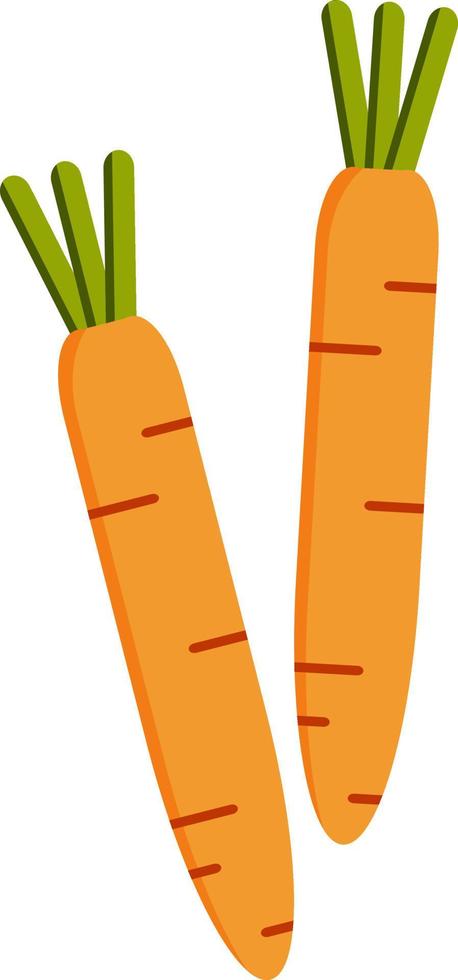 Fresh carrot vegetable vector