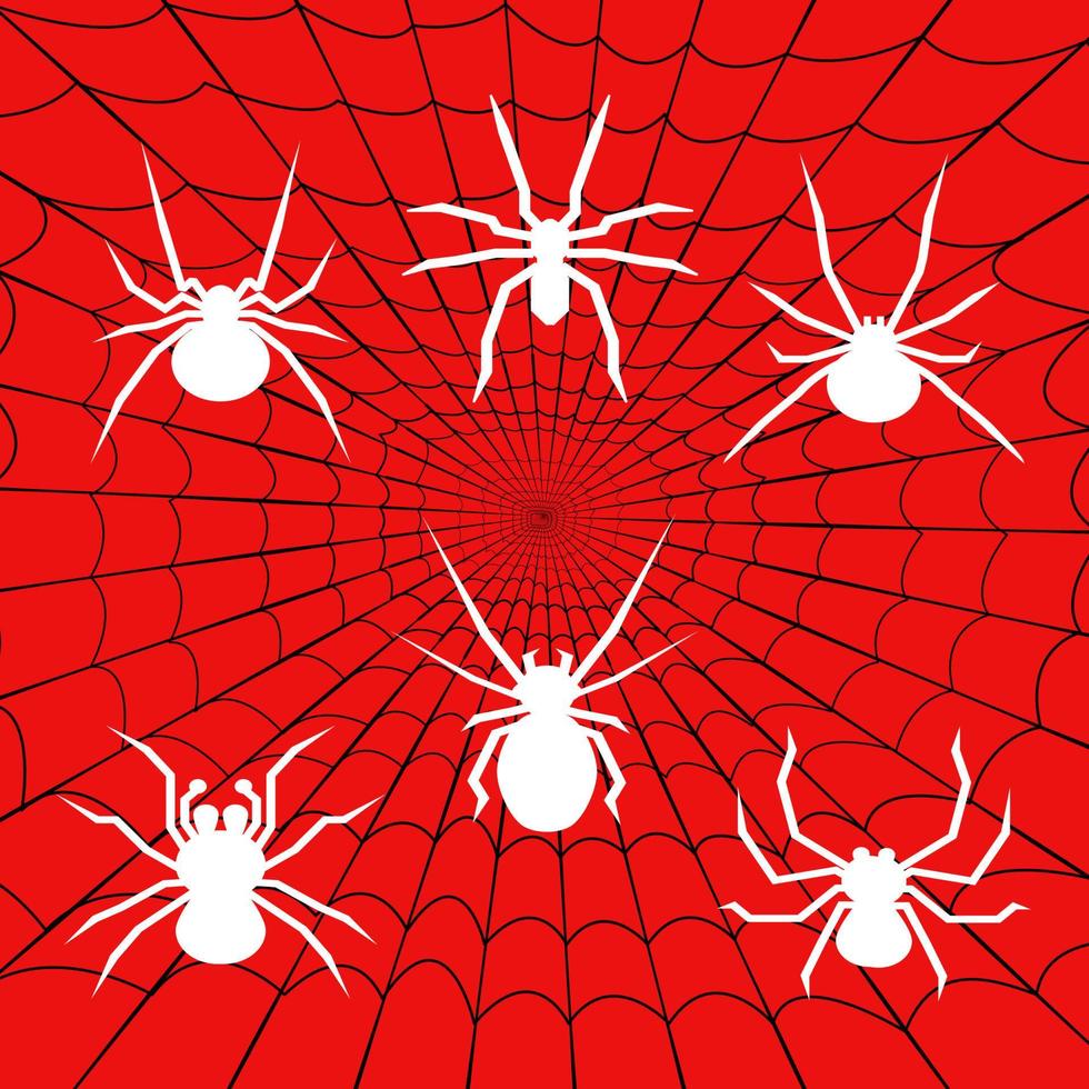 white spider logo set with spider web background vector