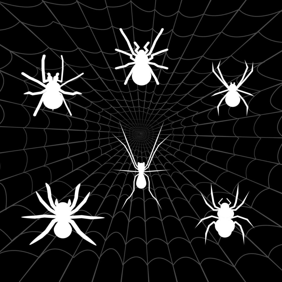 Colección de logotipos de araña blanca con fondo de tela de araña vector