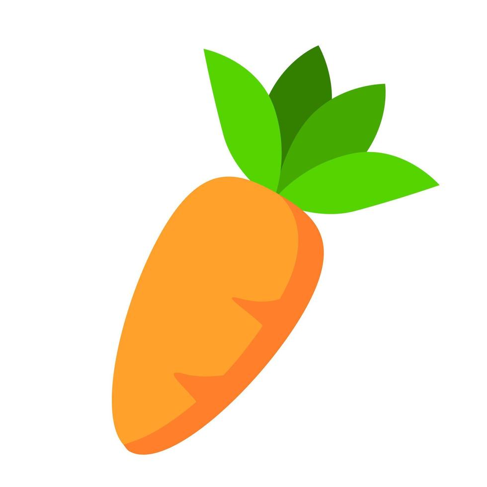carrot icon vector