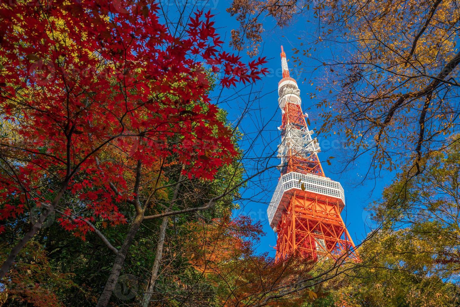 Tokyo Tower with blue sky in Japan photo