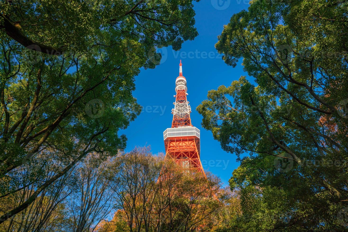 Tokyo Tower with blue sky in Japan photo