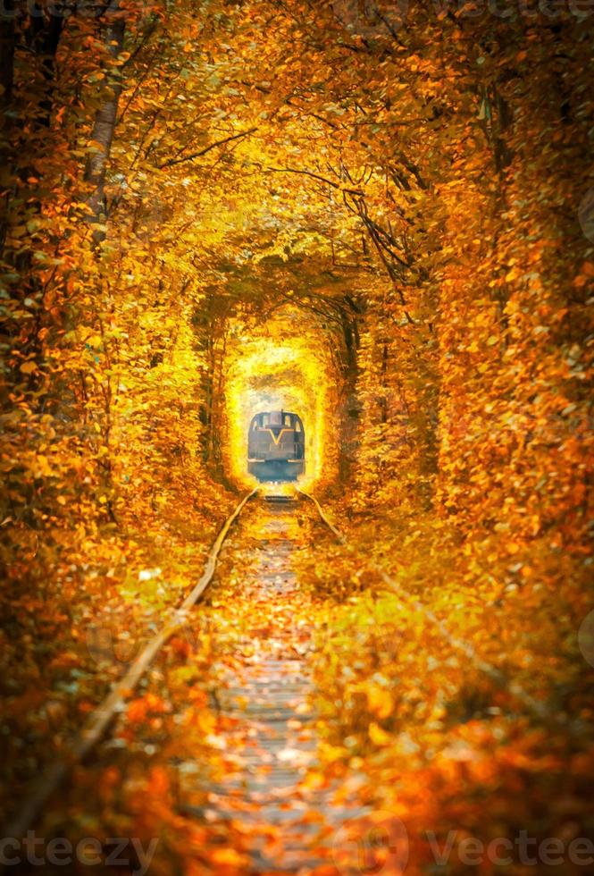 autumn railway view photo