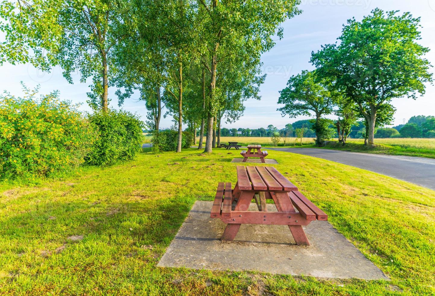 bench in nature france photo