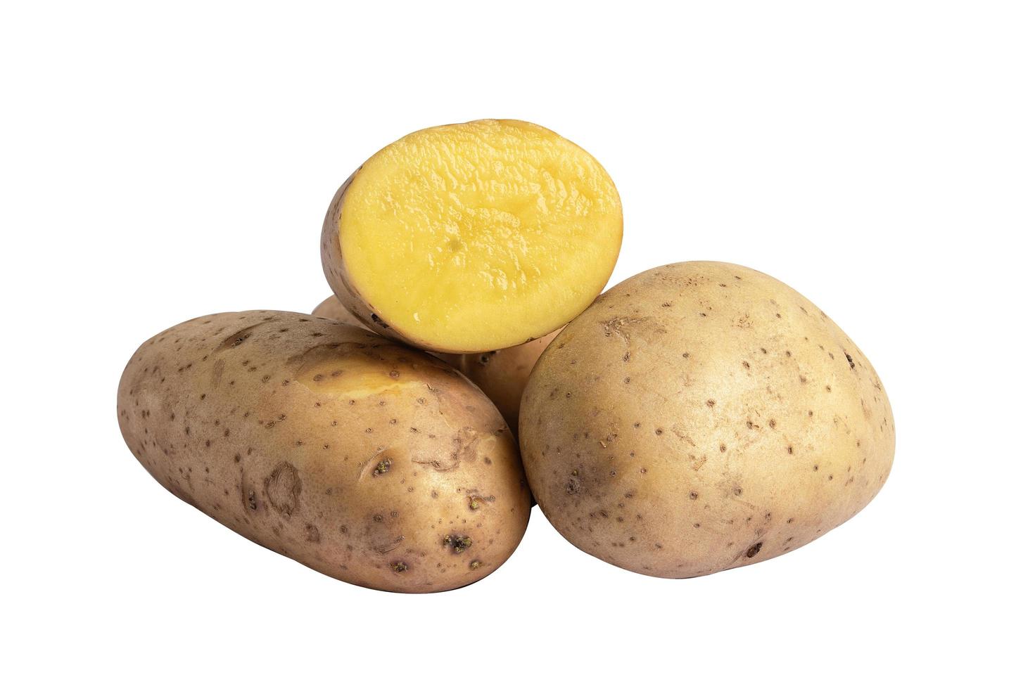 Potato isolate on white background. photo