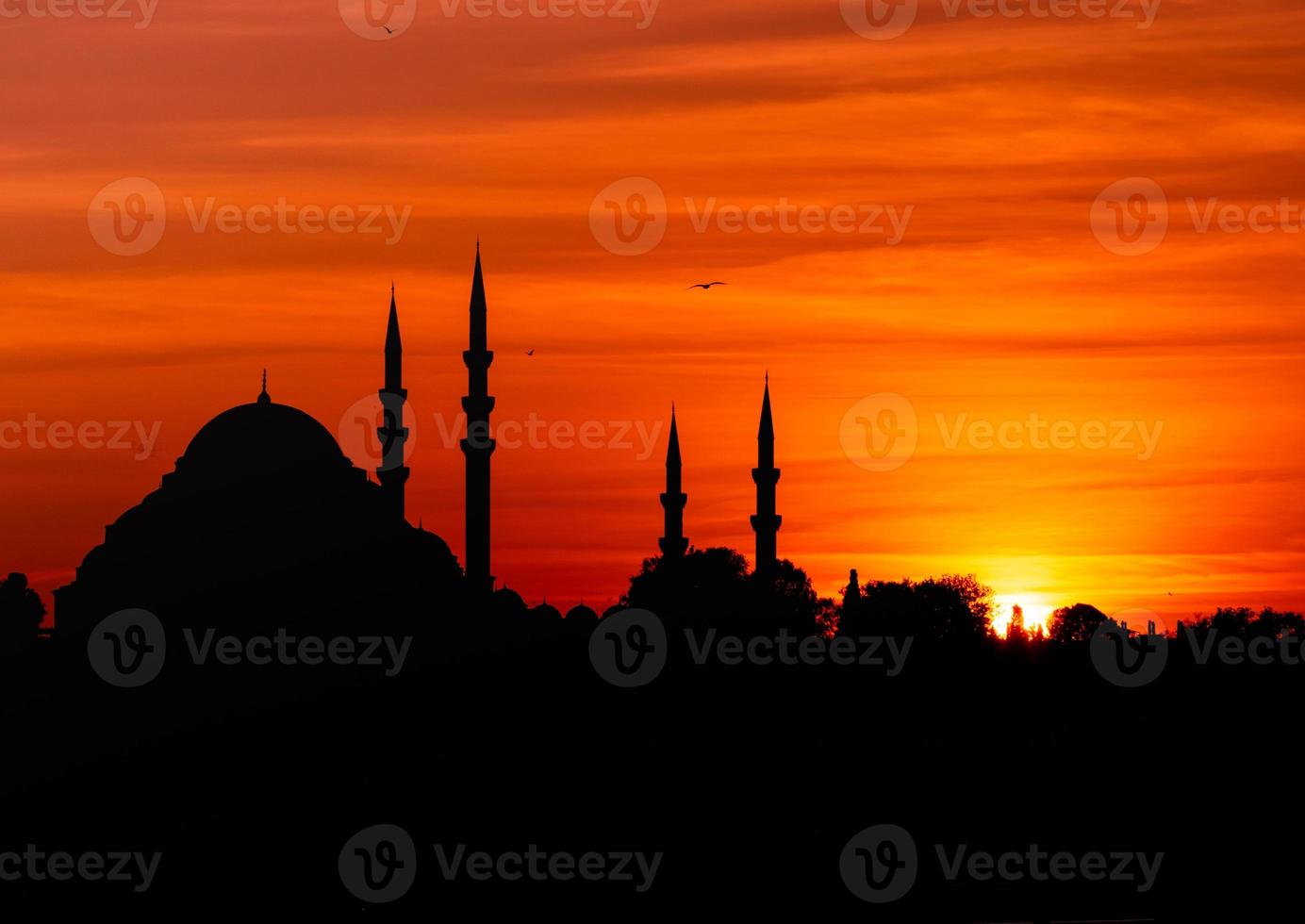 istanbul silhouette mosque photo